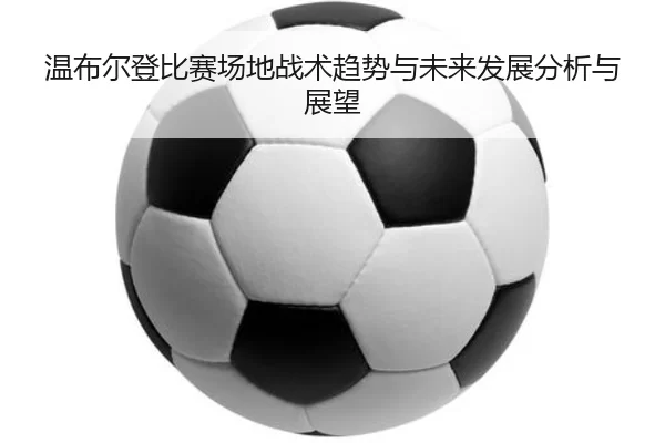 wen-bu-er-deng-bi-sai-chang-di-zhan-shu-qu-shi-yu-wei-lai-fa-zhan-fen-xi-yu-zhan-wang-2-486.jpg